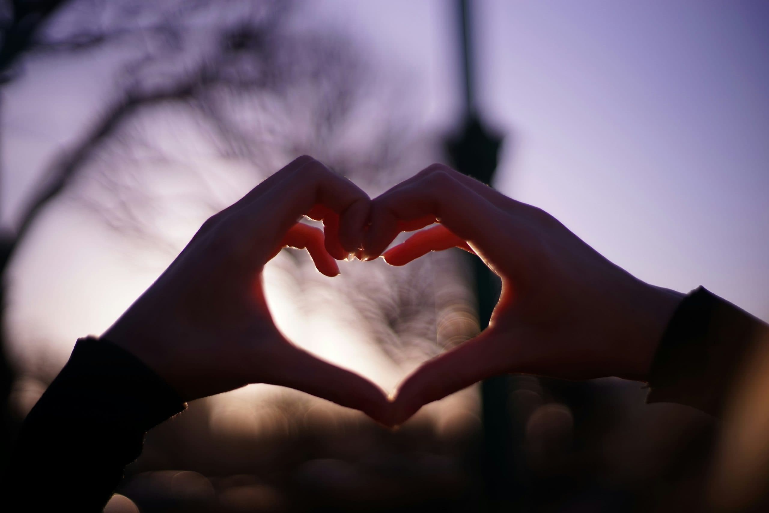 Heart hands gesture