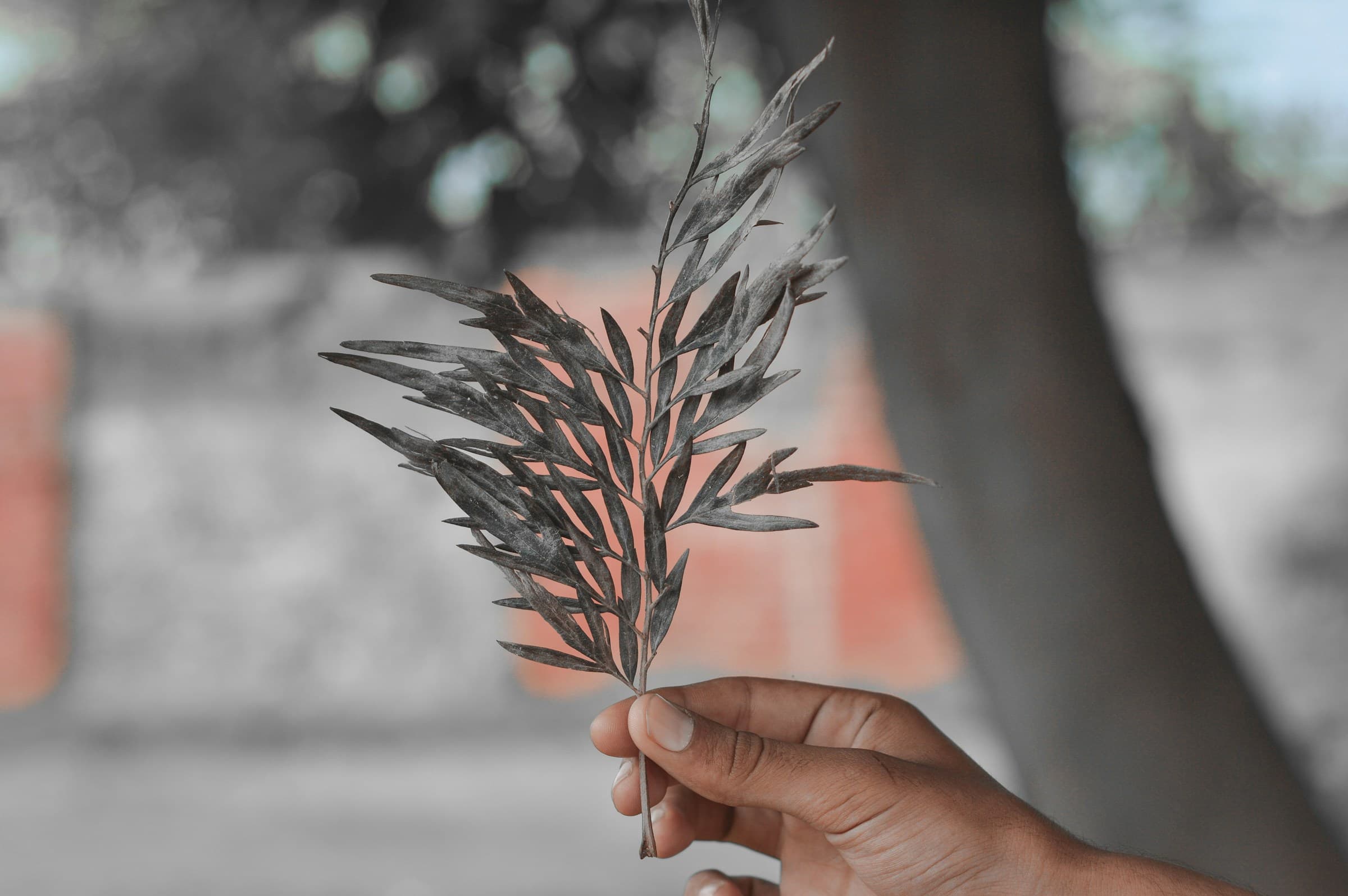 How to Forgive Your Ex (and Why It’s Essential to Healing)